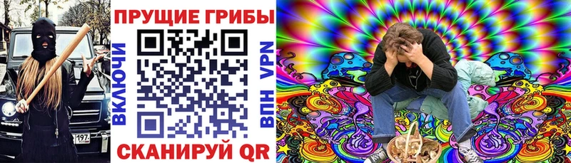 Галлюциногенные грибы GOLDEN TEACHER  Мариинск 
