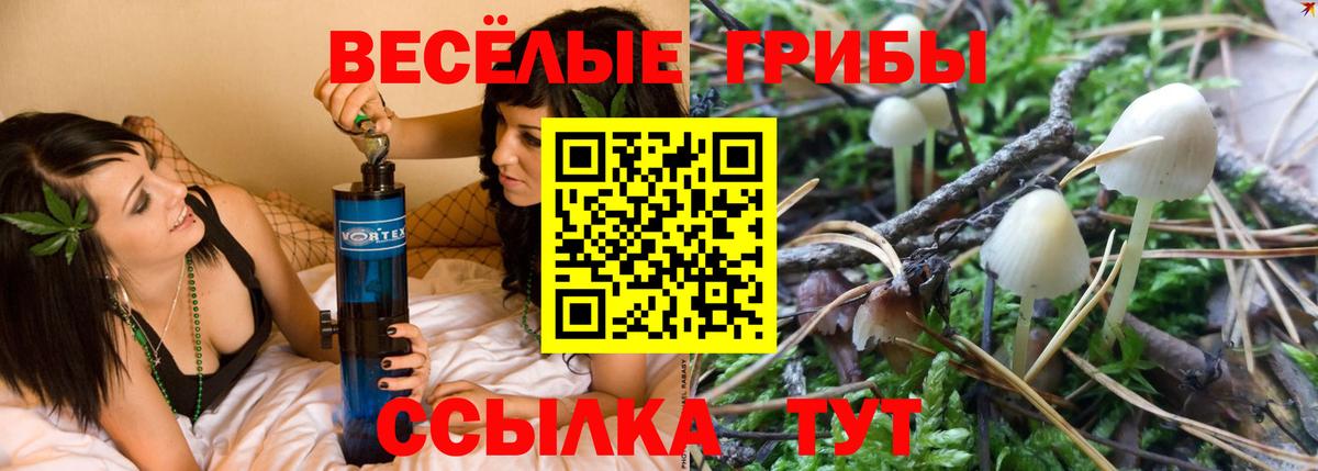 Галлюциногенные грибы MAGIC MUSHROOMS Мариинск